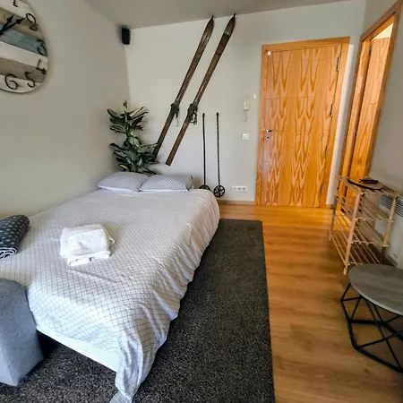 Vistas Al Lago De Osseja - Cerca De Puigcerda - Parking Y Trastero Privado * Osséja